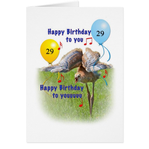 29Th Birthday Card
 29th Birthday Card with Sandhill Crane Bird