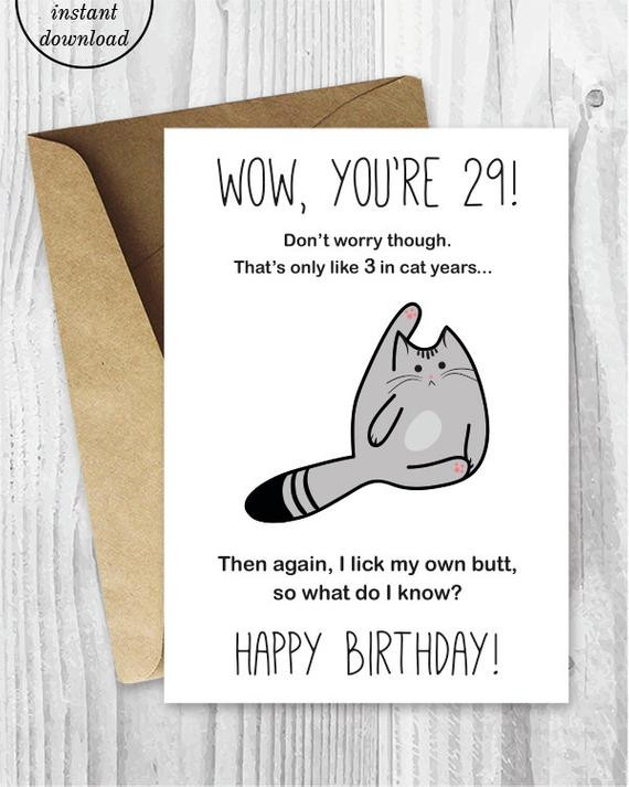 29Th Birthday Card
 29th Birthday Card Printable Birthday Card Funny Cat