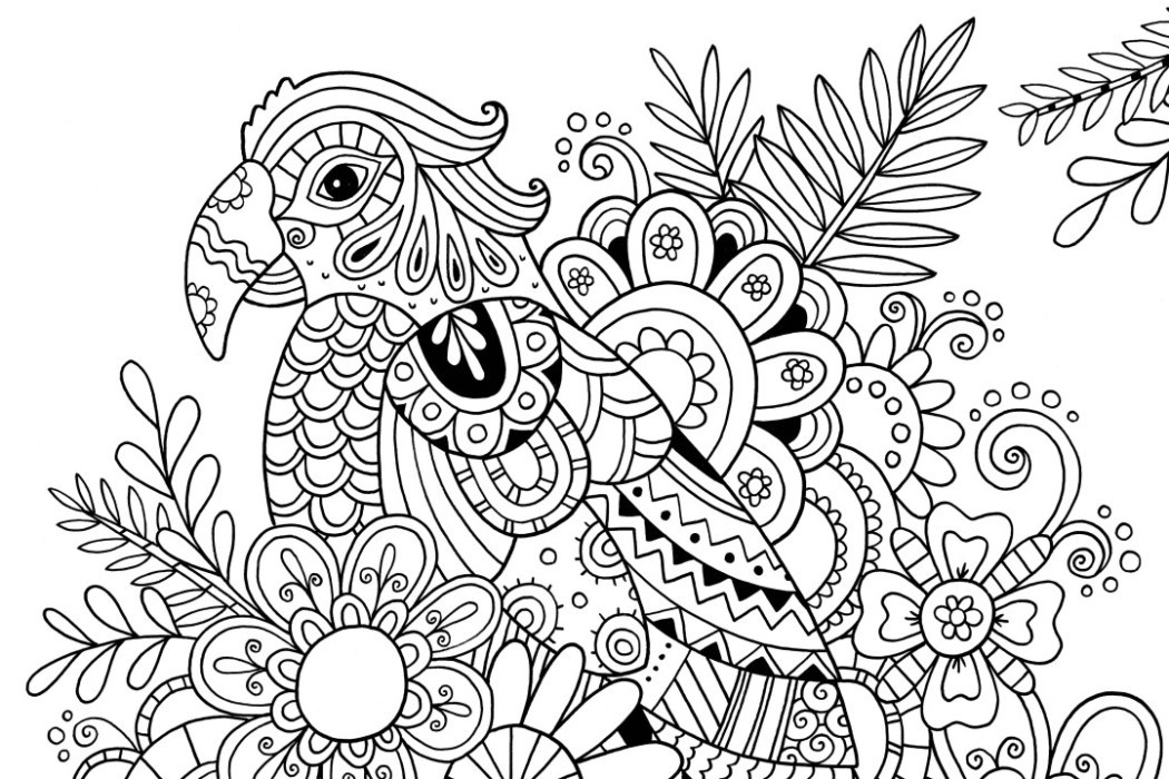 Adult Coloring Book Patterns
 How to Draw Zentangle Patterns Hobbycraft Blog
