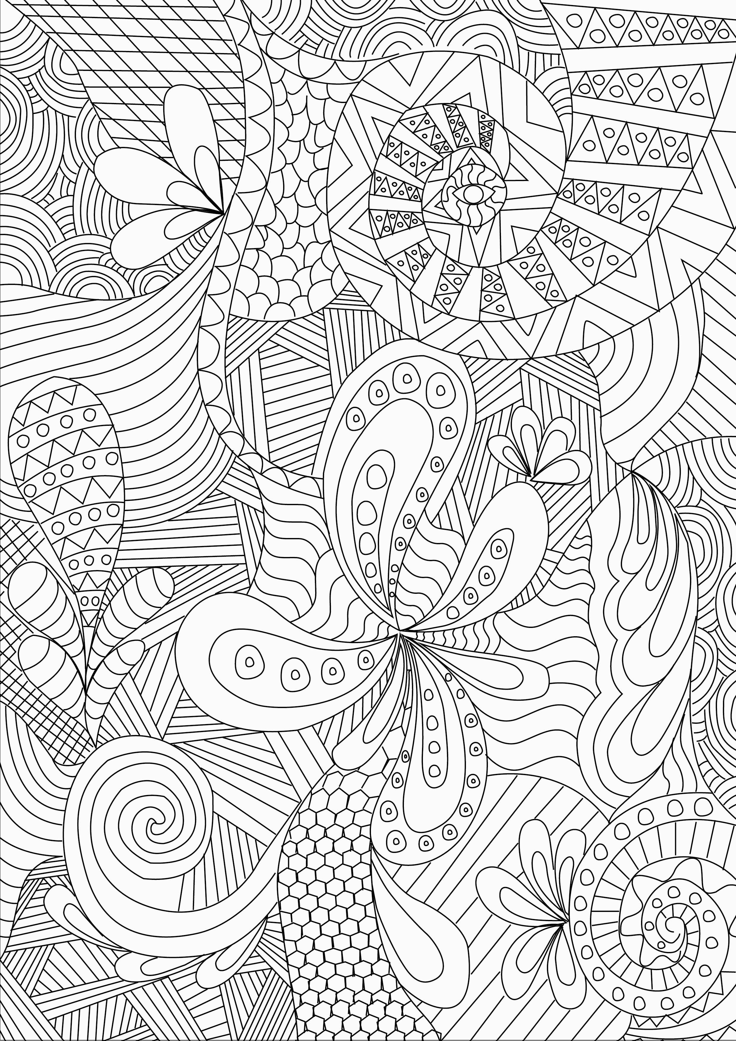 Adult Coloring Book Patterns
 Zentangle Colouring Pages In The Playroom