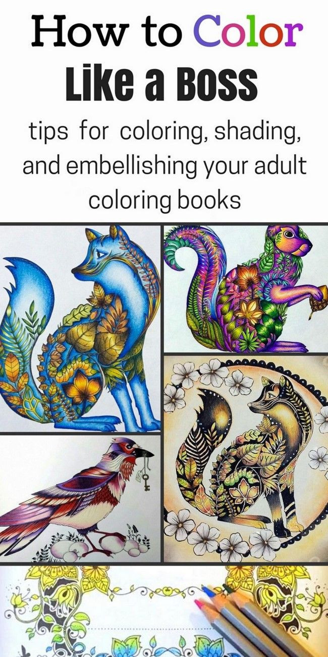 Adult Coloring Books Tips
 Best 25 Adult coloring ideas on Pinterest