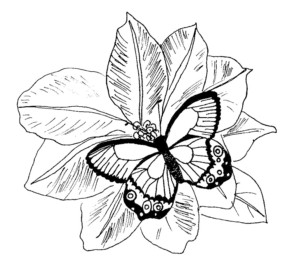Adult Flower Coloring Pages
 Flower Coloring Pages For Adults Coloring Home