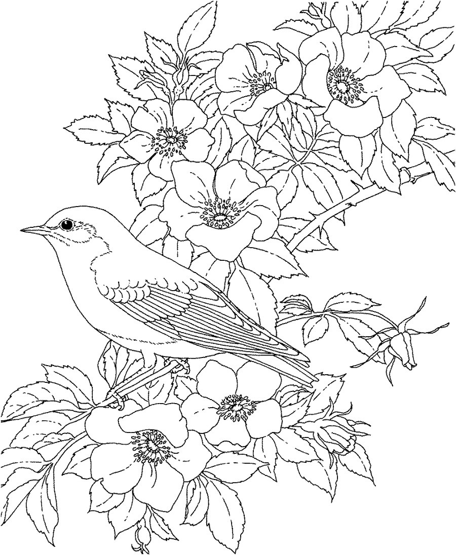 Adult Flower Coloring Pages
 Flower Coloring Pages For Adults