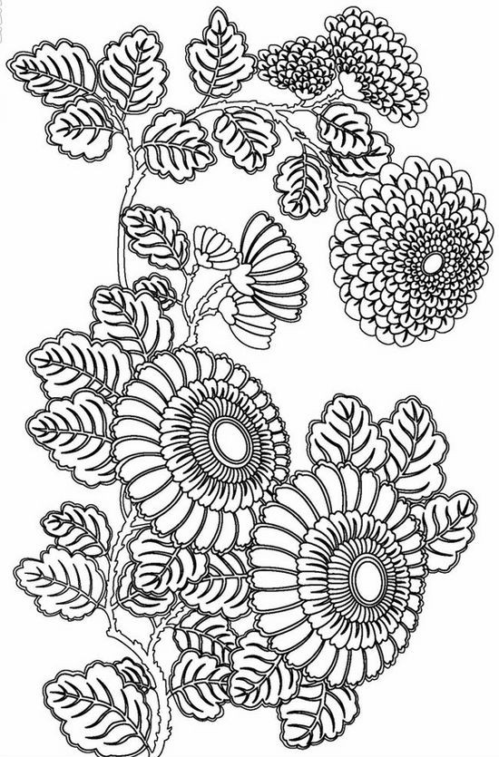 Advanced Coloring Books For Adults
 free printable coloring pages for adults advanced Google