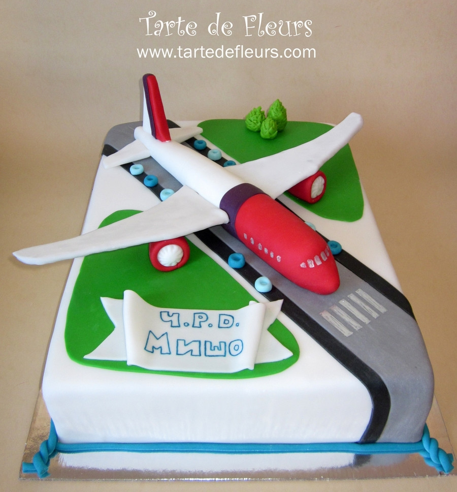 Airplane Birthday Cake
 Airplane Cake CakeCentral