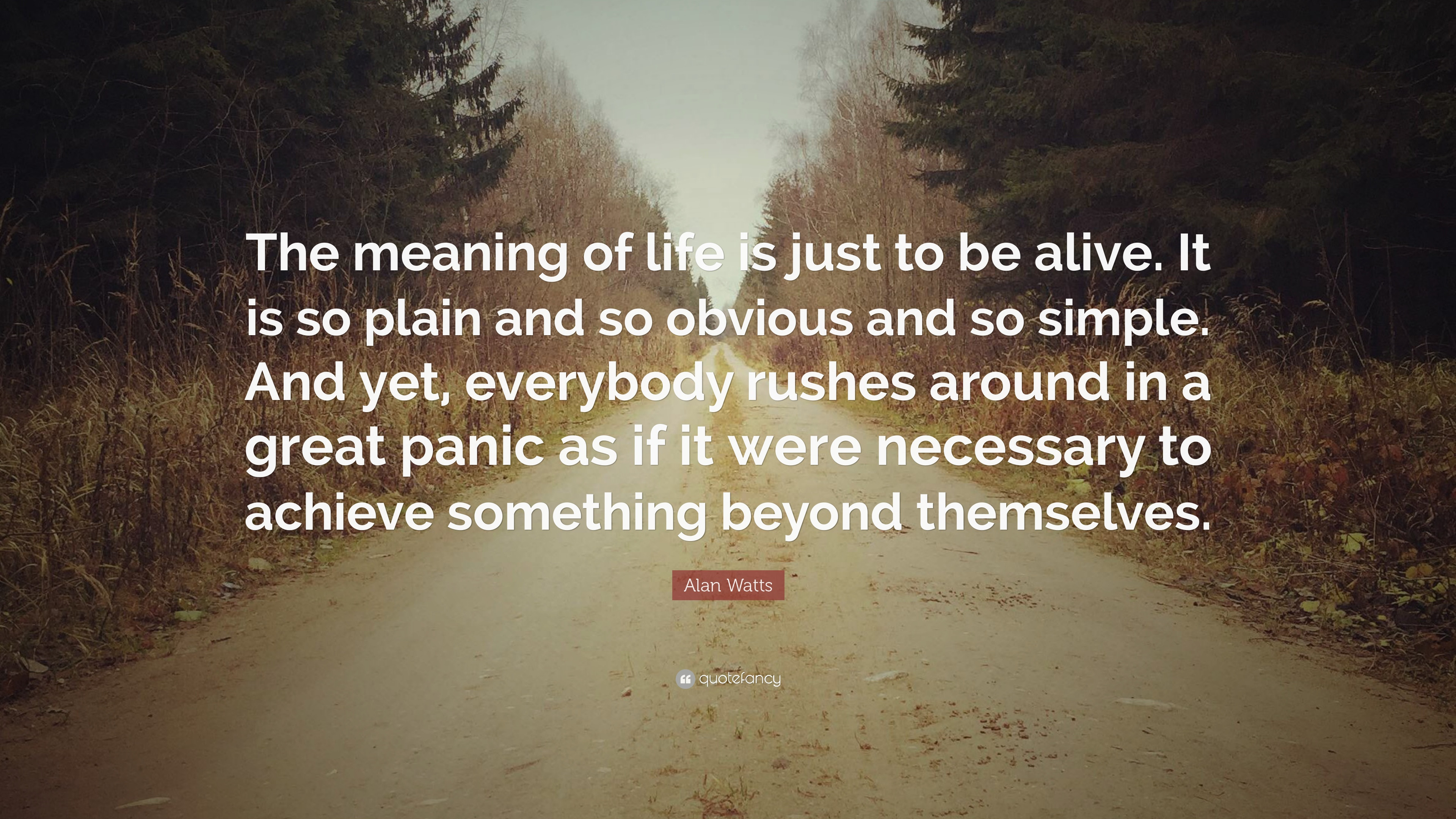 Alan Watts Quotes About Life
 Alan Watts Quote “The meaning of life is just to be alive