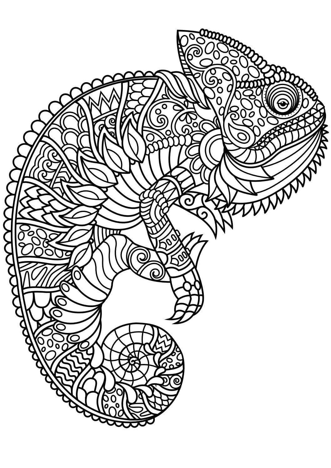 Animals Coloring Pages For Adults
 Animal coloring pages pdf Coloring Animals