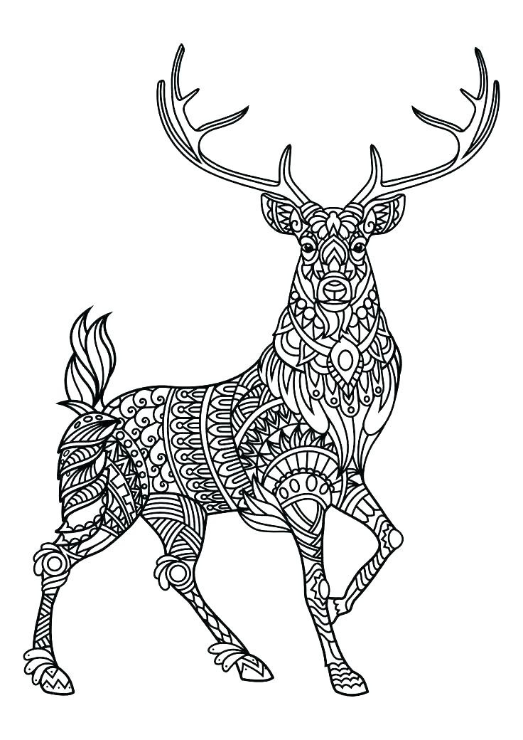 Animals Coloring Pages For Adults
 Animal Mandala Coloring Pages Best Coloring Pages For Kids