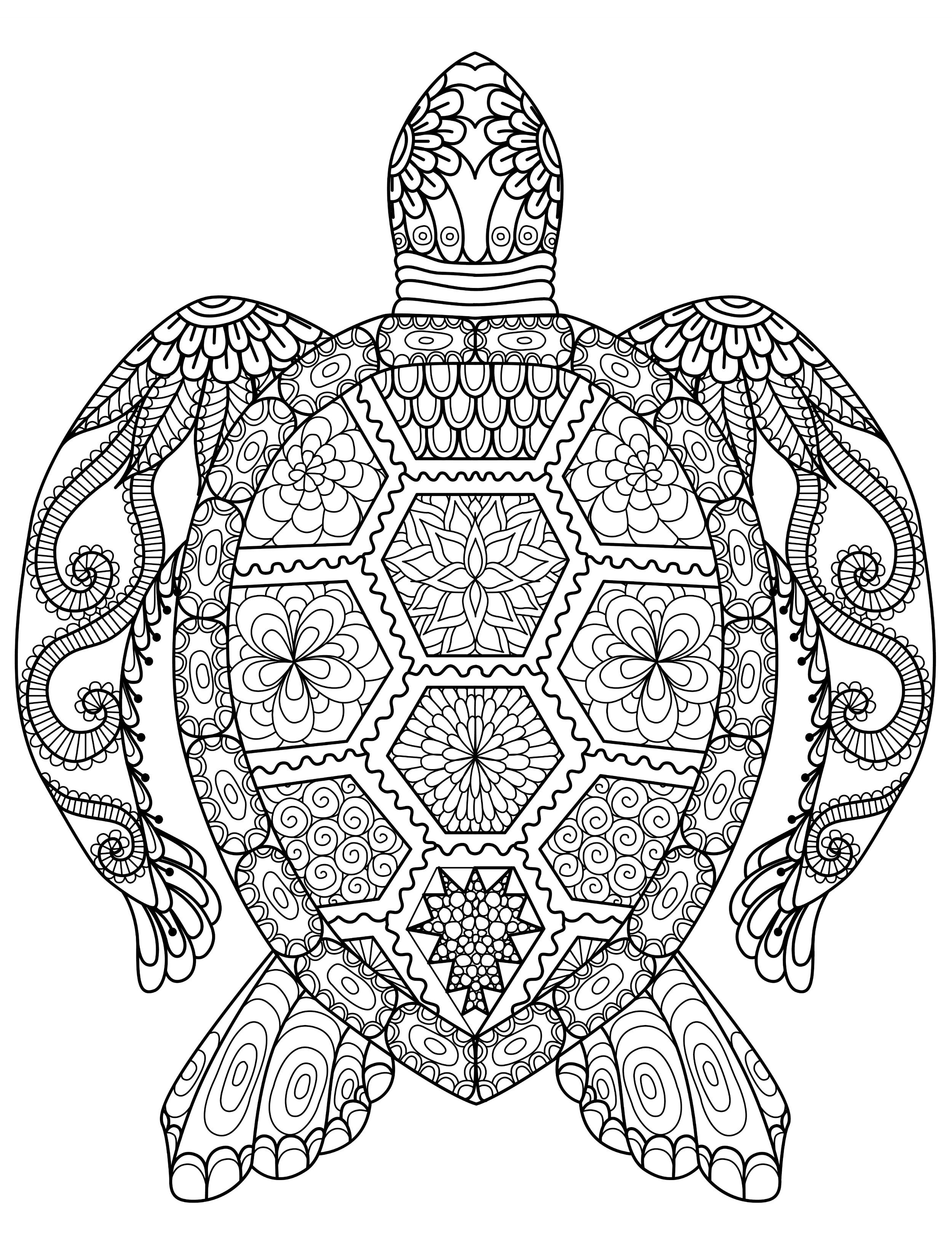 Animals Coloring Pages For Adults
 Adult Coloring Pages Animals Best Coloring Pages For Kids