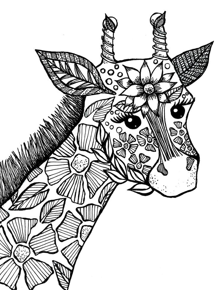 Animals Coloring Pages For Adults
 Giraffe Adult Coloring Book Page