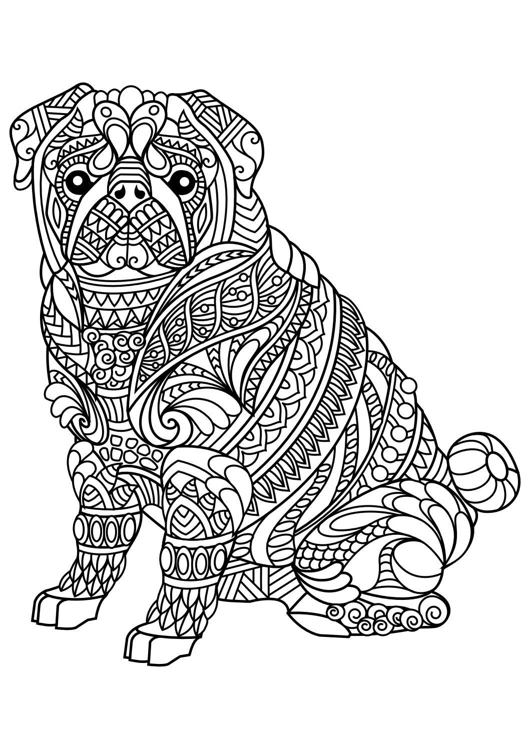 Animals Coloring Pages For Adults
 Animal coloring pages pdf Coloring Animals