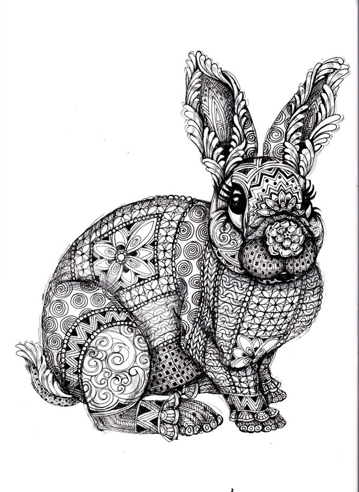 Animals Coloring Pages For Adults
 Animal Coloring Pages for Adults Bestofcoloring