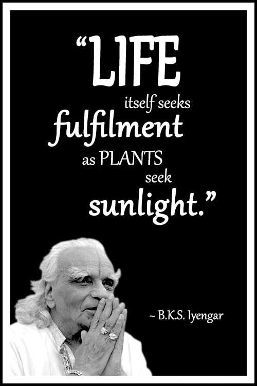 B K S Iyengar Quotes Light On Life
 Best 25 Bks iyengar quotes ideas on Pinterest