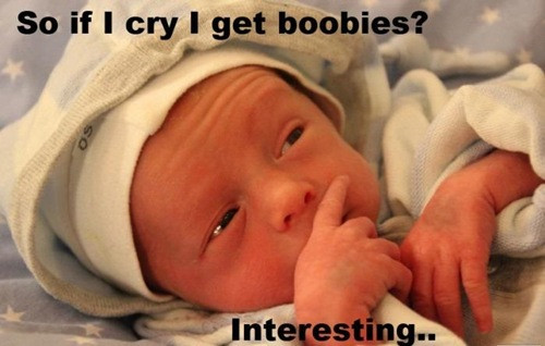 Babies Funny Quotes
 meme