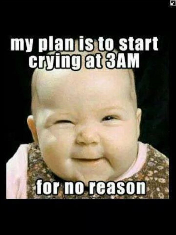 Babies Funny Quotes
 Cute Funny Baby Saying My Plan Is To Start Crying At