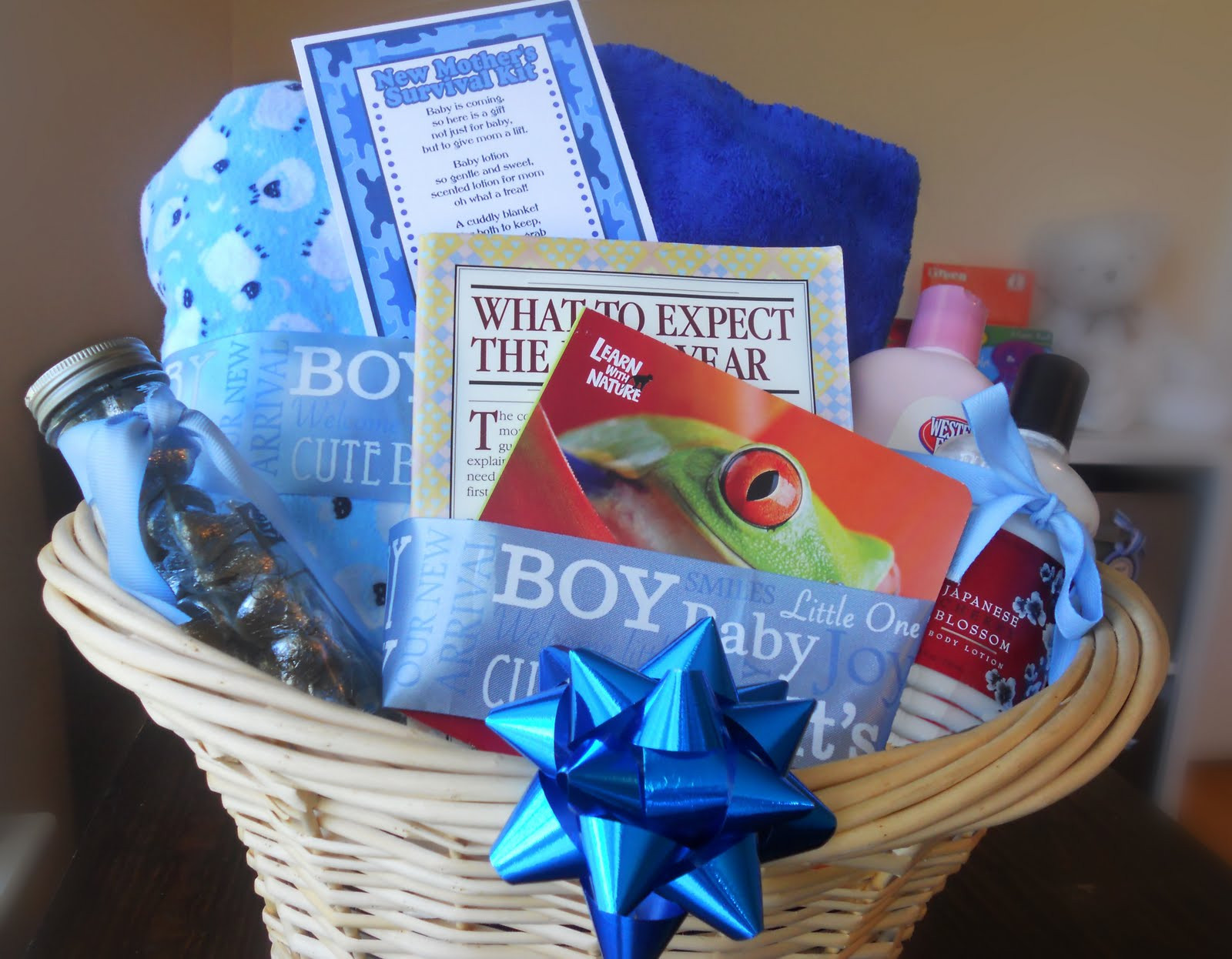 Baby Boy Baby Shower Gift Ideas
 Baby Shower Gift Survival Kit Darling Doodles