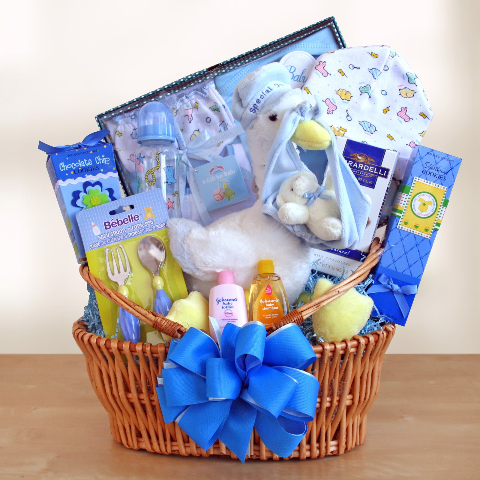 Baby Boy Shower Gift Ideas
 Special Stork Delivery Baby Boy Gift Basket Gift Baskets