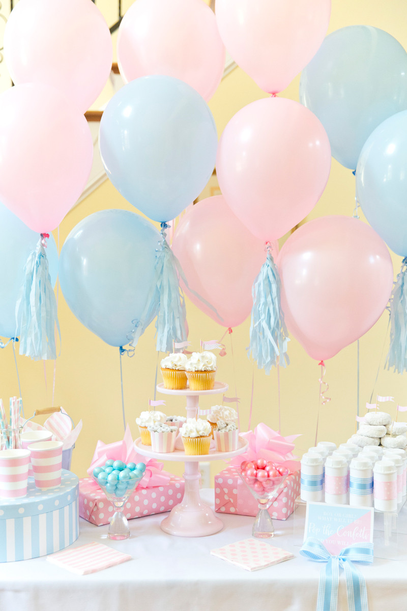 Baby Gender Party Ideas
 Boy or Girl Blue Pink Gender Reveal Party