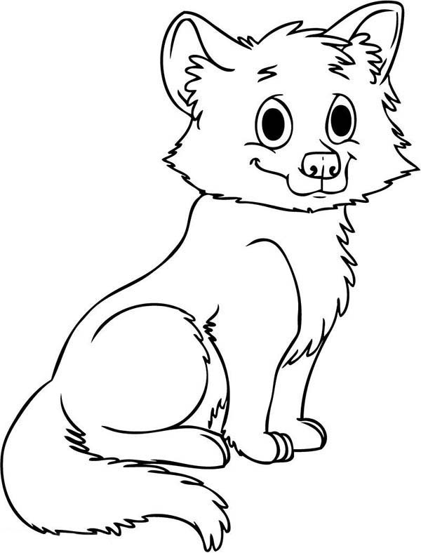 Baby Wolf Coloring Pages
 Baby Wolf Drawing at GetDrawings