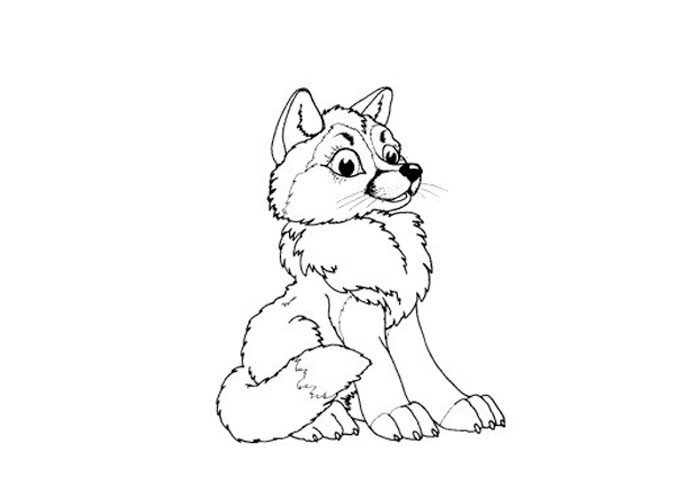 Baby Wolf Coloring Pages
 Index of wp content 2012 07