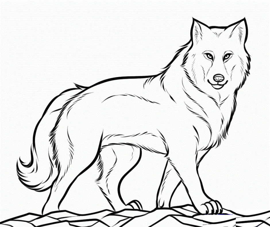 Baby Wolf Coloring Pages
 Picture A Baby Cheetah AZ Coloring Pages