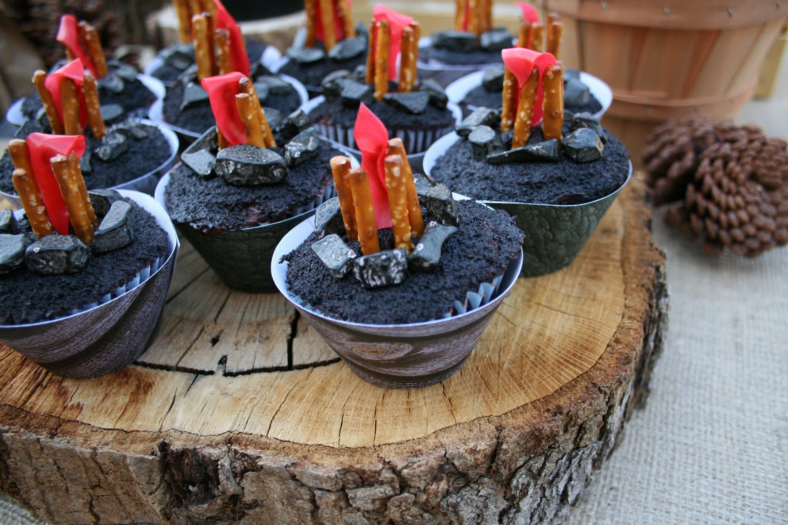 Backyard Campout Birthday Party Ideas
 Backyard Campout Party Dukes and Duchesses