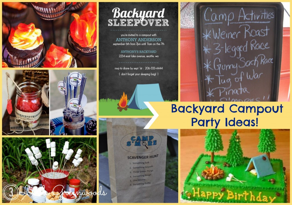 Backyard Campout Birthday Party Ideas
 How to Make a Campfire Birthday Cake