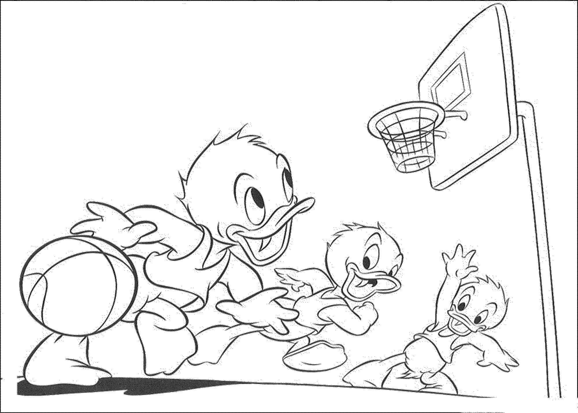 Basketball Duck Coloring Sheets For Boys
 basketball colouring pages printable donald duck