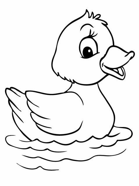 Basketball Duck Coloring Sheets For Boys
 Download free printable Cute Baby Duck Coloring Pages to