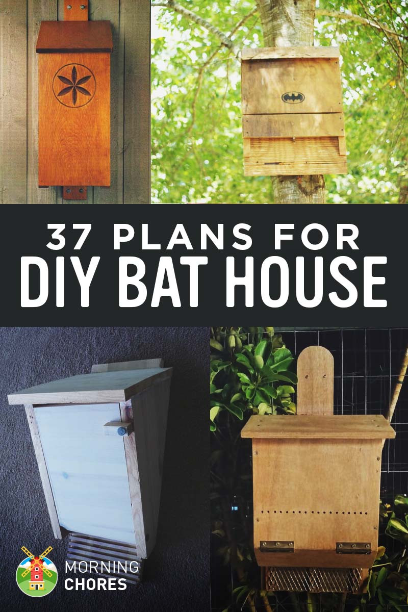 Bat House Plans DIY
 37 Free DIY Bat House Plans that Will Attract the Natural