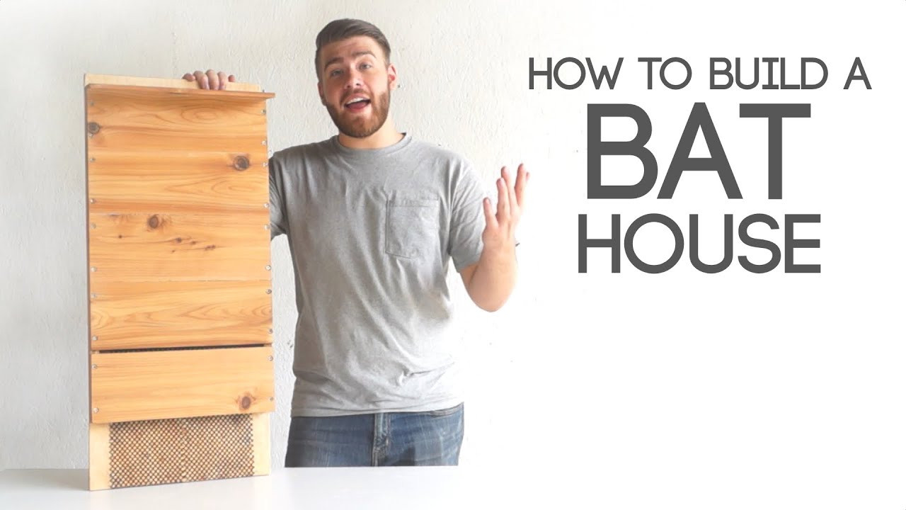 Bat House Plans DIY
 How To Build A Bat House Modern Builds