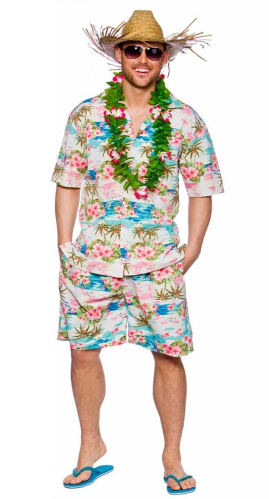 Beach Costume Party Ideas
 Hawaiian Beach Party Costume by Wicked HAW 1301