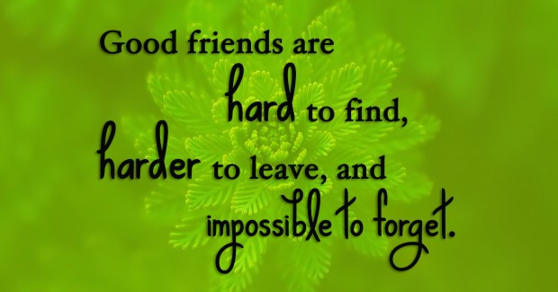 Beautiful Friendship Quotes
 My Small World 10 Beautiful Friendship Quotes you would