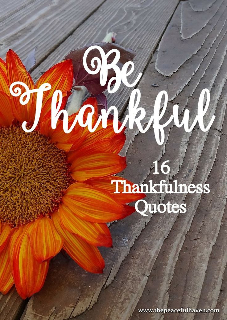 Beautiful Thanksgiving Quotes
 1000 images about Sayings Beautiful Words to Live By on