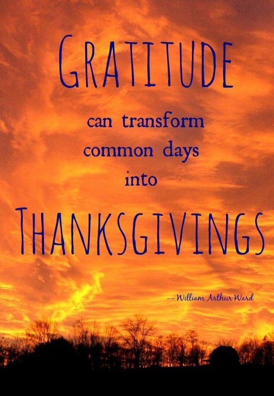 Beautiful Thanksgiving Quotes
 A beautiful quote that isn t JUST for Thanksgiving