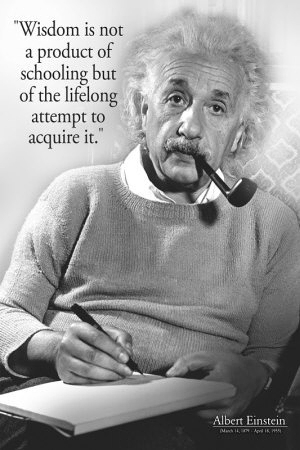 Best Educational Quotes
 28 Famous Albert Einstein Quotes