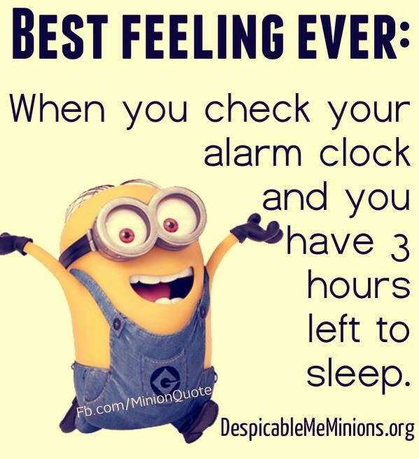 Best Funny Quotes
 Best Funny Minion Quotes Wallpaper DIYs
