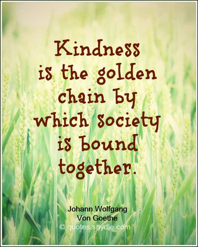 Best Kindness Quotes
 Quotes about Kindness with Quotes and Sayings