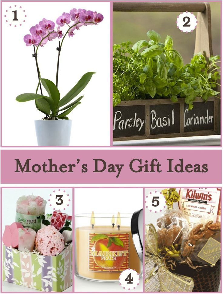 Best Mothers Day Gift Ideas
 17 Best ideas about Unusual Mothers Day Gifts on Pinterest