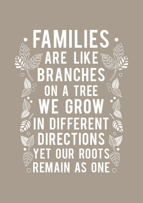 Best Quotes About Family
 Top 25 Family Quotes and Sayings 3 Family quotes Sayings