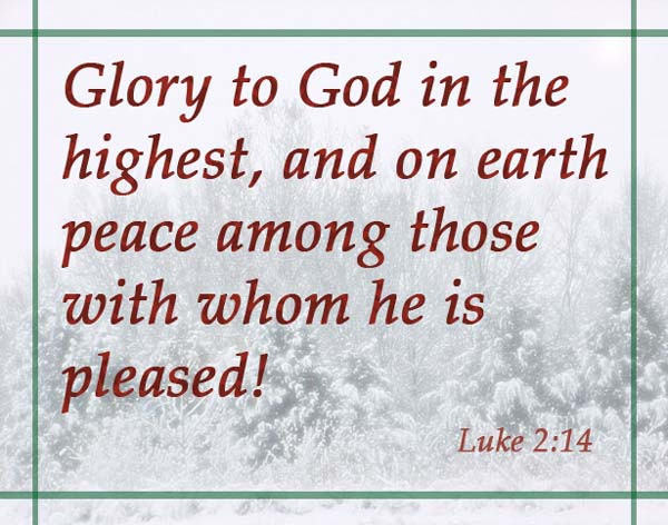 Bible Christmas Quotes
 Christmas Bible Verses Scripture Quotes for the Holidays