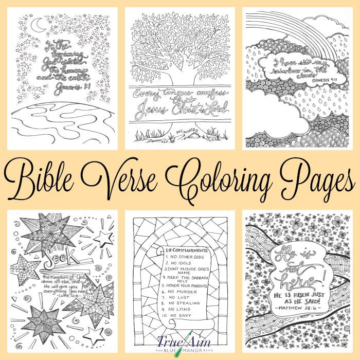 Bible Crafts For Adults
 6 Bible Verse Coloring Pages