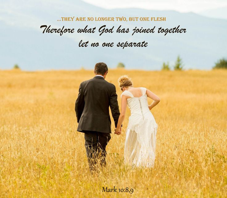 Bible Quotes On Marriage
 Find deeper understanding strength hope and courage for