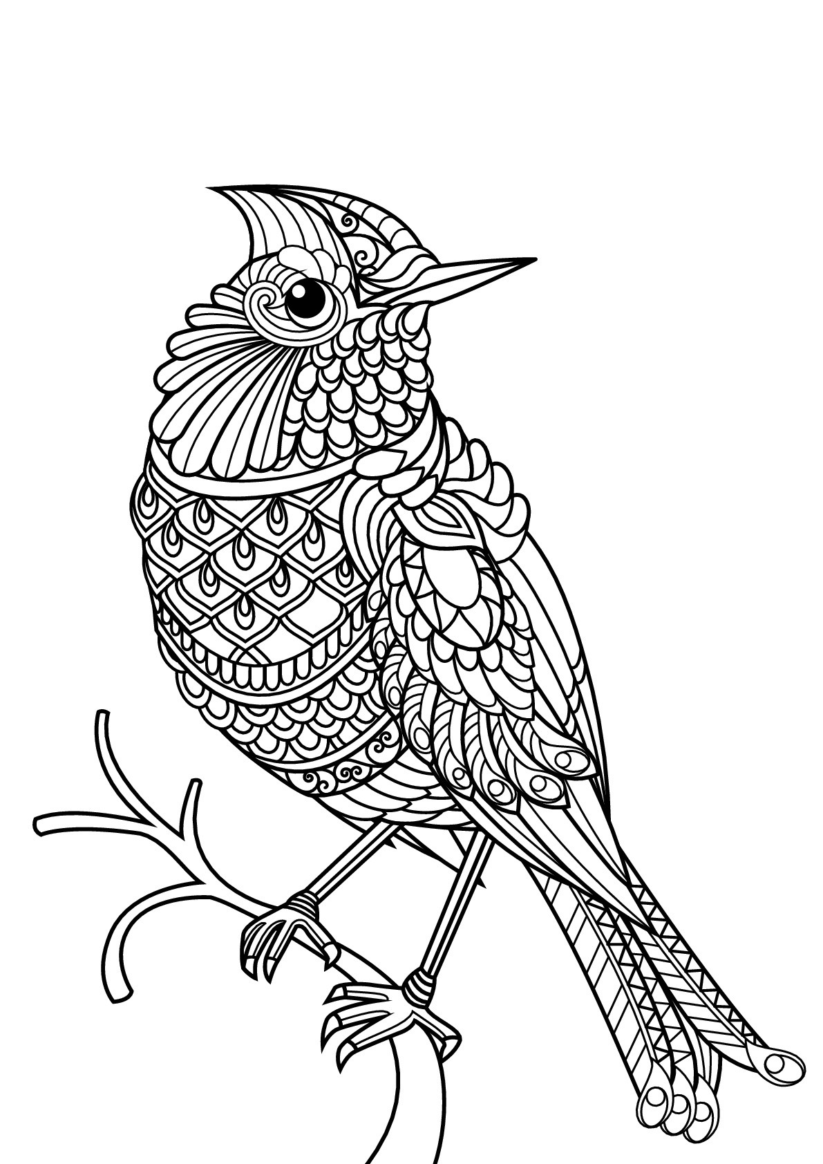 Bird Coloring Book For Adults
 Free book bird Birds Adult Coloring Pages