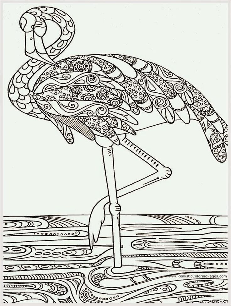 Bird Coloring Book For Adults
 Heron Bird Adult Coloring Pages Free