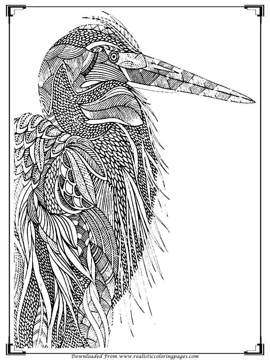 Bird Coloring Book For Adults
 Printable Birds Coloring Pages For Adults