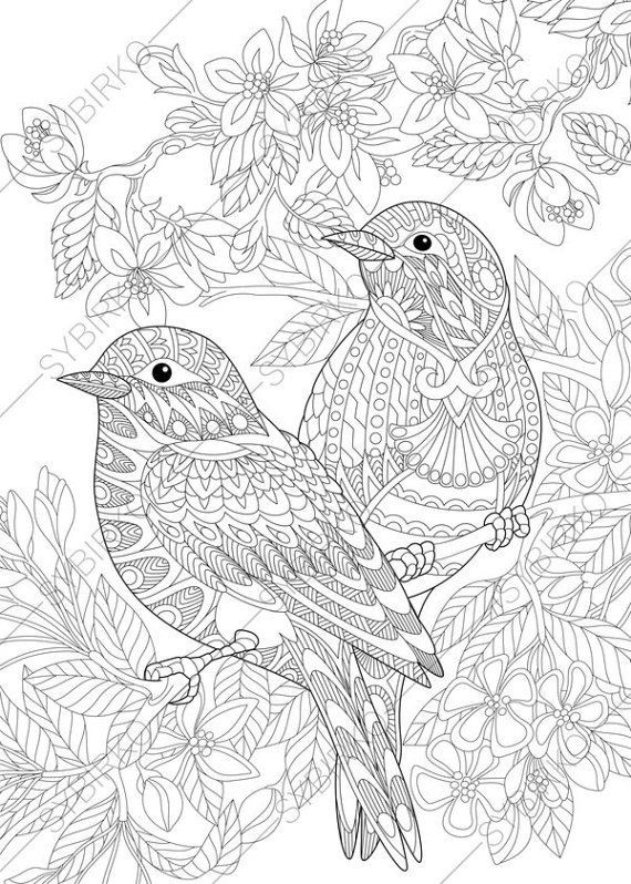 Bird Coloring Book For Adults
 1648 best Coloring pages images on Pinterest