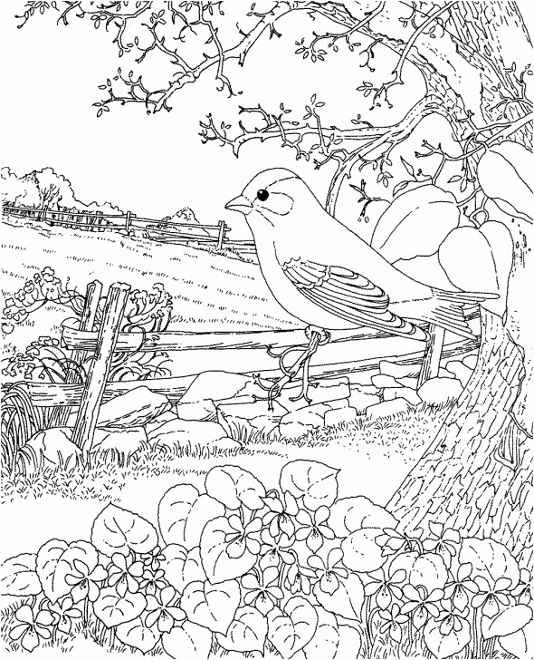 Bird Coloring Book For Adults
 Easter Goldfinch New Jersey State Bird Coloring Page