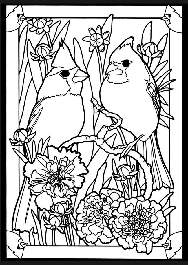 Bird Coloring Book For Adults
 cardinal coloring page