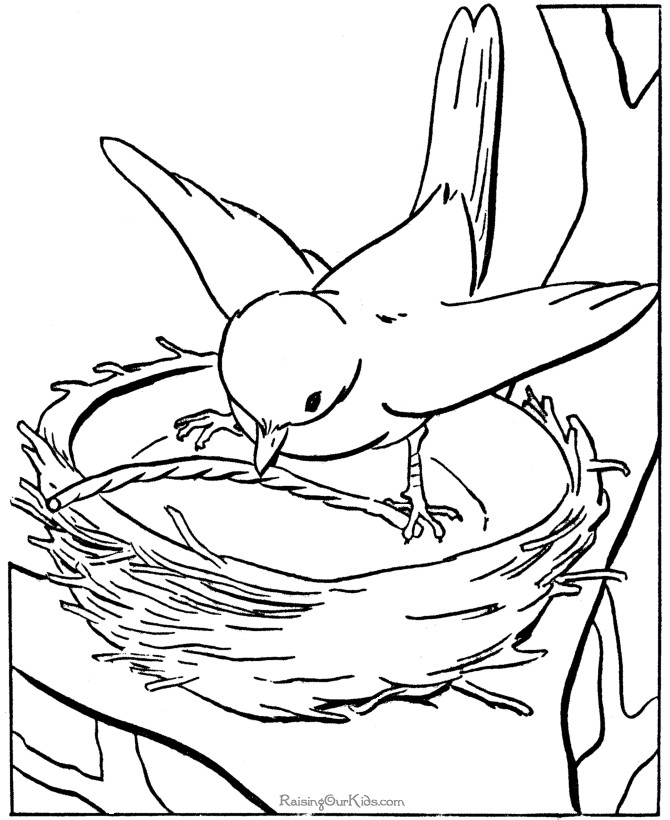 Bird Coloring Sheet
 Bird Coloring Pages For Preschoolers Coloring Home